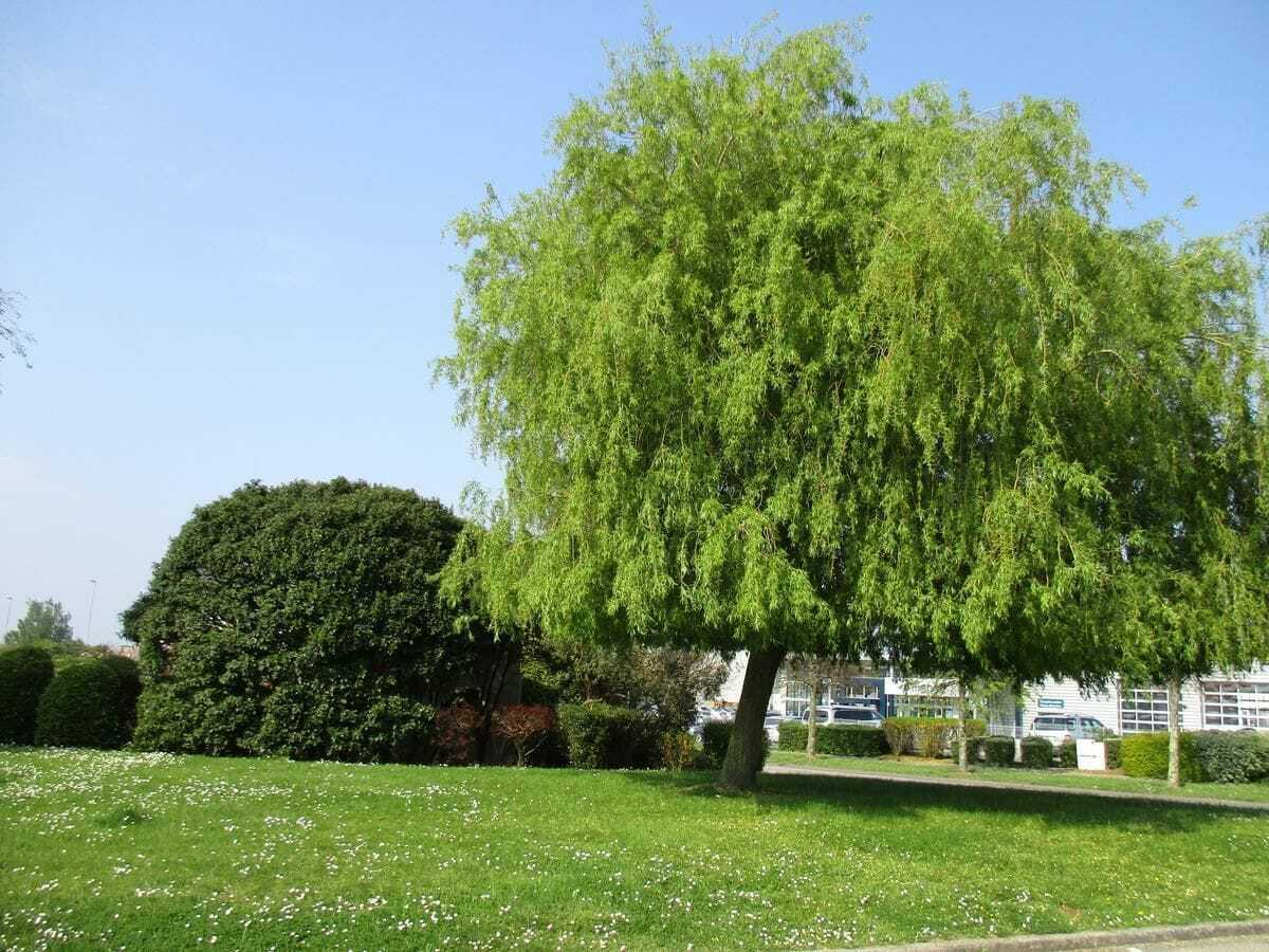 Premiere Classe Cherbourg - Tourlaville Ngoại thất bức ảnh